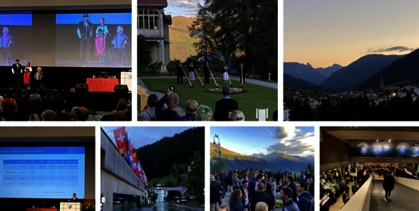Collage d'images de l'événement.
